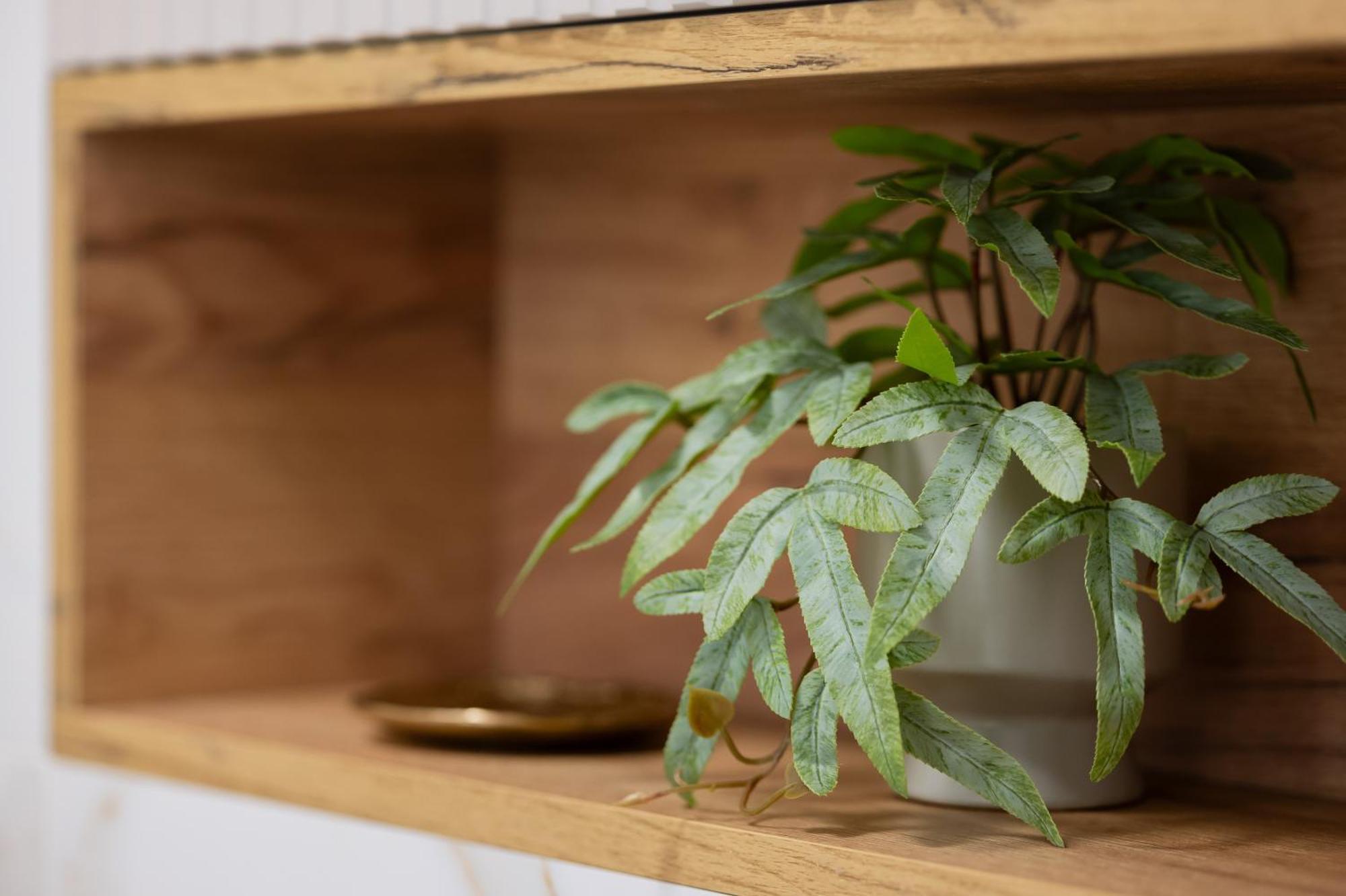 Elegant Apartments Grojecka In Warsaw By Noclegi Renters エクステリア 写真